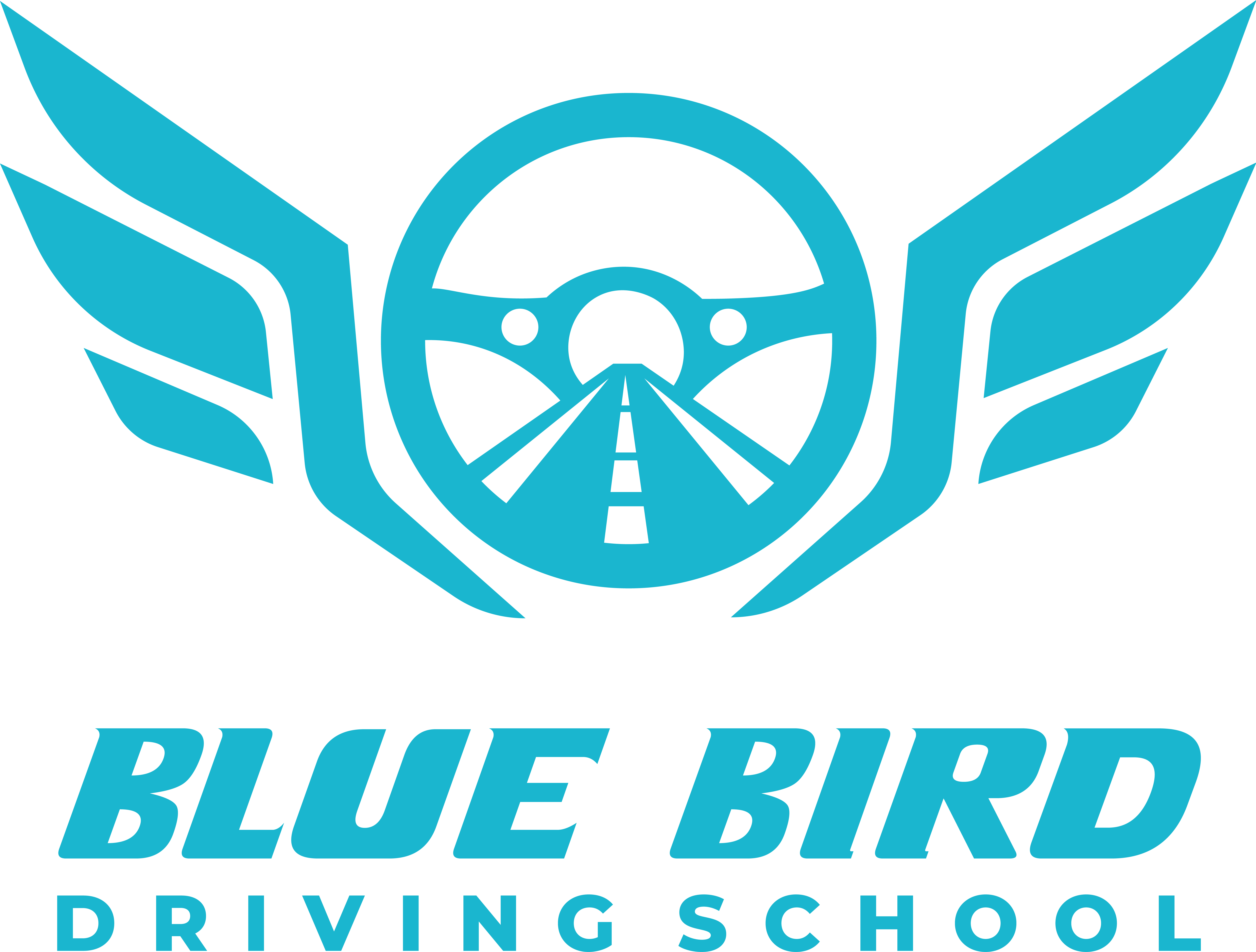 Blu bird logo
